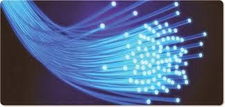 fiber
