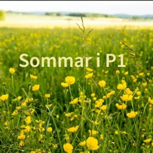 Sommar i P1