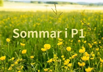 sommar